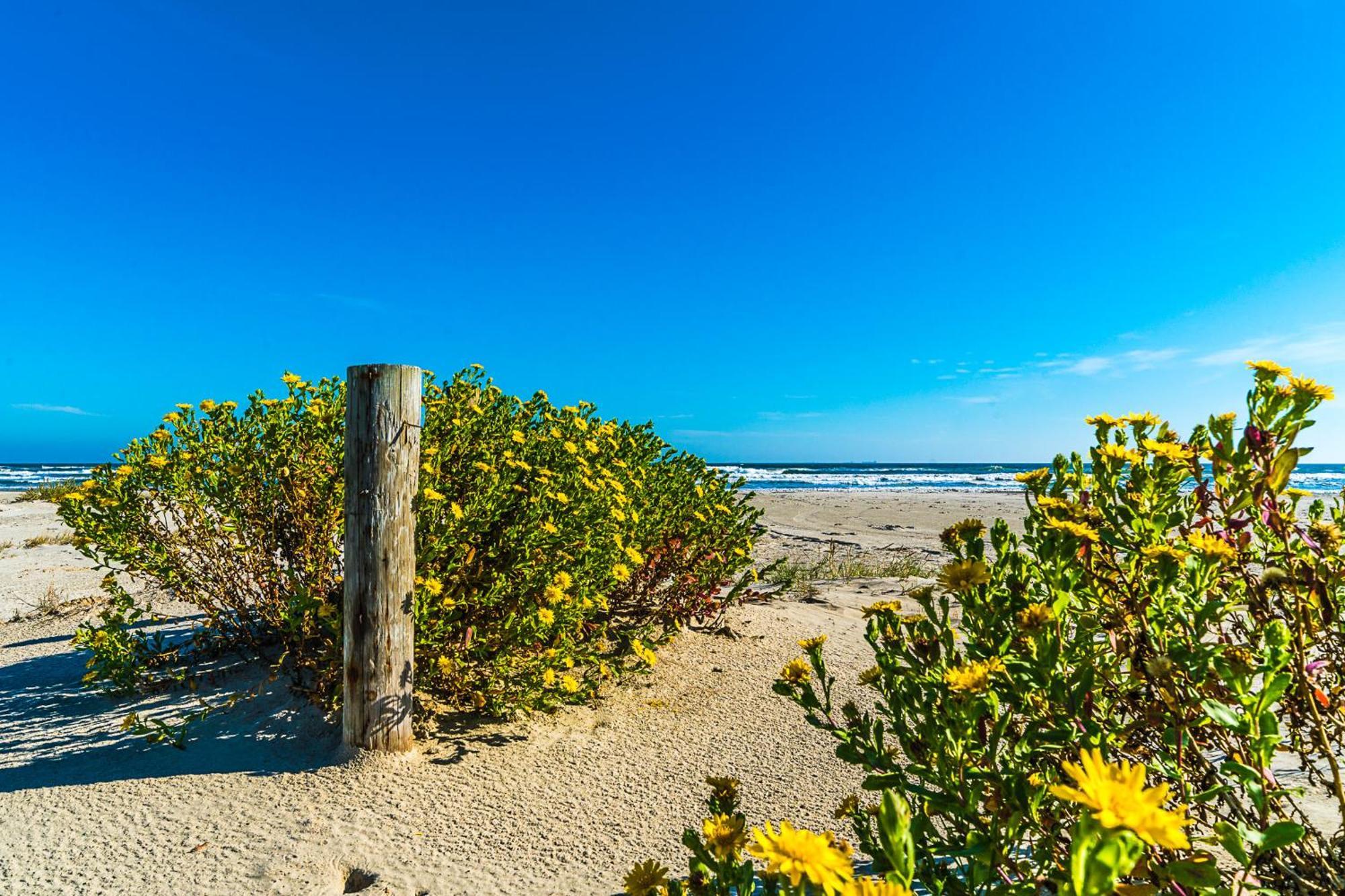 Charming Ocean View *